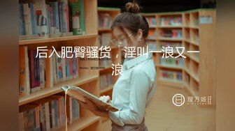 后入肥臀骚货，淫叫一浪又一浪