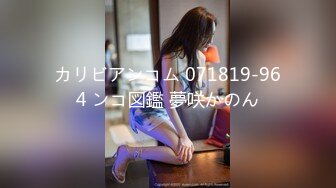 カリビアンコム 071819-964 ンコ図鑑 夢咲かのん