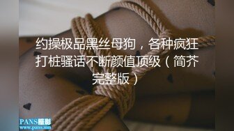 约操极品黑丝母狗，各种疯狂打桩骚话不断颜值顶级（简芥完整版）