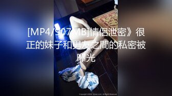 [MP4]小葛格东游记东记攻略：日本风俗禁忌，东京夜游必玩项目