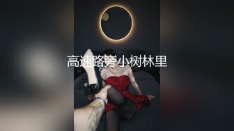 [MP4]91制片厂-堕落女律师 上门试被告的结果沦为他的玩物钟媛