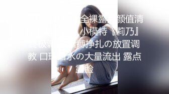 捷克更衣室美女试穿内衣偷拍系列 (66)