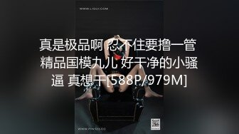 感谢支持，再放上一小段，码打的多请理解