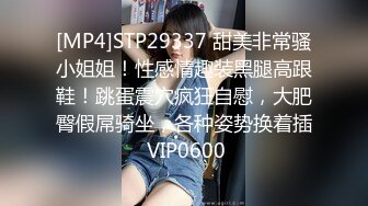 STP19930 【超推荐会尊享】麻豆代理出品导演系列新作-趁哥哥不在家强上性欲极强的丰满嫂子 强制操口爆