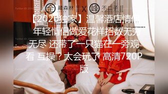 【2020独家】温馨酒店情侣❤年轻情侣做爱花样招数无穷无尽 还带了一只猫在一旁观看 互操？太会玩了 高清720P版