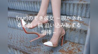 精品资源百度云泄密流出湖南美女模特和男友居家激情啪啪露脸大战 高清