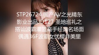 国产麻豆AV MD MD0141 淫荡的轻熟少妇 与情夫的秘密性生活 仙儿媛