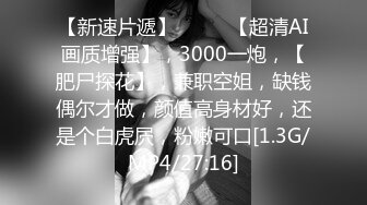 【Emma18Y】推特八字大奶露脸反差婊高价订阅福利，勇闯有人男厕景区超市露出道具紫薇野战啪啪 (1)