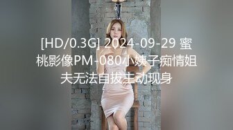 [HD/0.3G] 2024-09-29 蜜桃影像PM-080小姨子痴情姐夫无法自拔主动现身