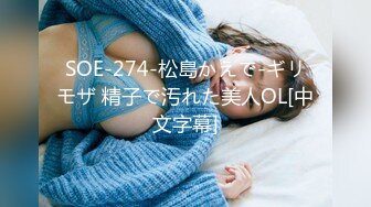 麻豆传媒 OS-003天上人间首部曲苏珊的肉体沦陷