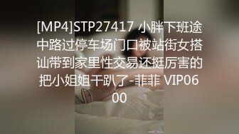 [MP4]STP27417 小胖下班途中路过停车场门口被站街女搭讪带到家里性交易还挺厉害的把小姐姐干趴了-菲菲 VIP0600