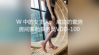 W 中的女主人。 威胁的套房房间客舱乘务员VDD-100