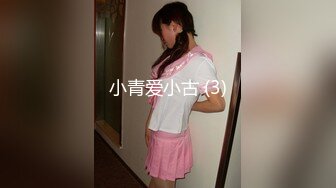 极品风骚少妇1