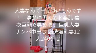 人妻なんてチョロいもんです！！清楚に见えてド淫乱 着衣巨乳で男を诱う 巨乳人妻ナンパ中出し 厳选爆乳妻12人240分 2