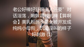 [MP4/ 590M] 36D极品美乳小骚货，一对豪乳又大又白，粉色吊带网袜，粗大假屌插穴