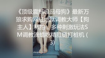 《顶级震撼极品母狗》最新万狼求购网红地狱调教大师【狗主人】私拍，多种刺激玩法SM调教滴蜡吃精肛链打桩机 (3)