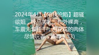 骄阳夏日旅途 完美性爱体验之3P 两根肉棒来回品尝