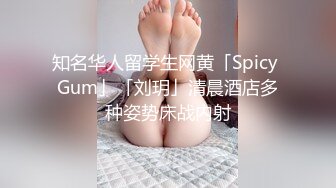 麻豆传媒 md-0303 孤注一掷-夏晴子、姚彤彤