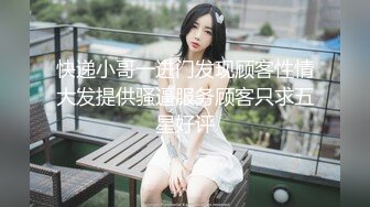 小情人奴儿2