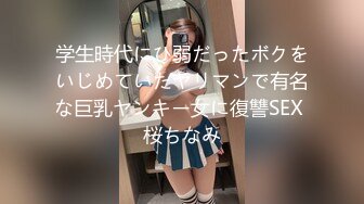 学生時代にひ弱だったボクをいじめていたヤリマンで有名な巨乳ヤンキー女に復讐SEX 桜ちなみ