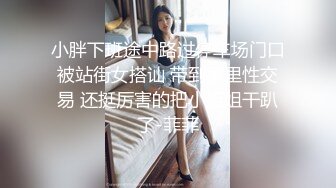 小胖下班途中路过停车场门口被站街女搭讪 带到家里性交易 还挺厉害的把小姐姐干趴了-菲菲