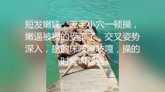 麻豆三十天特别企划 Day20—家庭教师和我的秘密—真人写真漫画