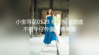 小宝寻花0523 约了極品颜值不错牛仔外圍刺青美眉