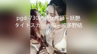 pgd-730誘惑女教師～妖艶タイトスカート編～波多野結衣