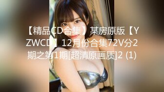 【精品CD合集】某房原版【YZWCD】12月份合集72V分2期之第1期[超清原画质]2 (1)