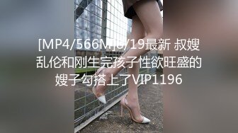 [MP4/566M]8/19最新 叔嫂乱伦和刚生完孩子性欲旺盛的嫂子勾搭上了VIP1196