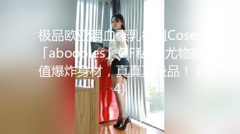 极品欧亚混血豪乳御姐Coser「aboobies」OF私拍 尤物颜值爆炸身材，真真真极品！ (4)