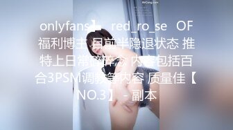 onlyfans】⭐red_ro_se⭐OF福利博主 目前半隐退状态 推特上日常碎碎念 内容包括百合3PSM调教等内容 质量佳【NO.3】 - 副本