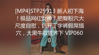 [MP4]STP29913 新人初下海！极品网红女神！肥臀粉穴大尺度自慰，扒开丁字裤假屌插穴，大黑牛双管齐下 VIP0600