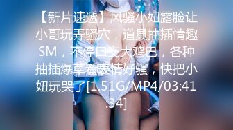 专业级的性感小女仆