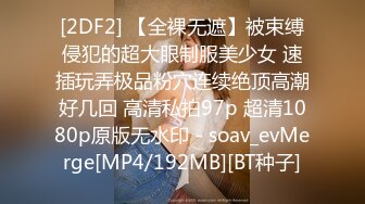 STP18543 【极品御姐】91女神极品丝袜母狗『小语』大尺度性爱私拍流出 激情啪啪 户外露出 丝袜高跟 虐恋篇