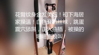 -起点传媒 性视界传媒 XSJHG012 过年王炸斗地主骗表姐做爱 李允熙